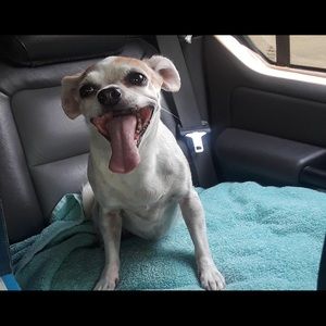 Meet your Posher, Matt